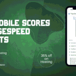 90+ Mobile Scores on PageSpeed Insights Without Using 10 Optimization Plugins